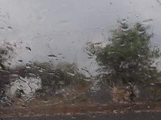 Chuva na Vila Albuquerque, em Campo Grande. (Foto: Fernanda Palheta)