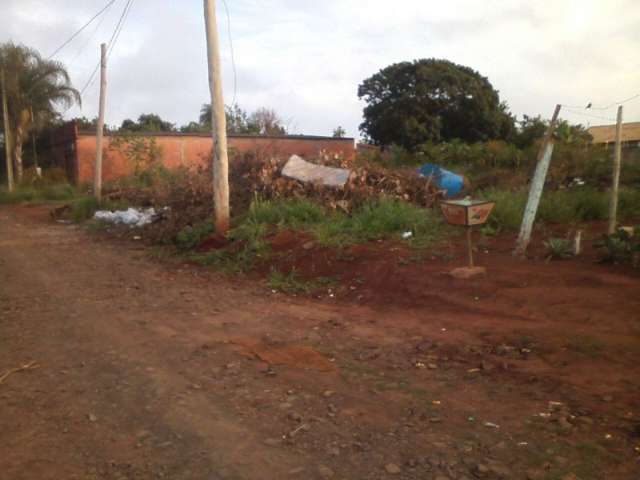 Falta de asfalto e acumulo de lixo em terrenos incomoda moradores de bairro