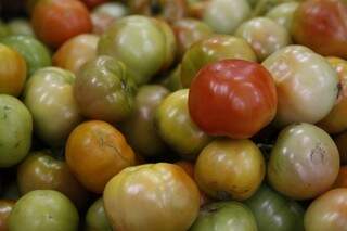 Tomate teve produção afetada pelo calor e ficou mais caro em março (Foto: Cleber Gellio/Arquivo)