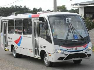 Microônibus vendidos para o Consórcio Guaicurus (Foto: Facebook/Reprodução)