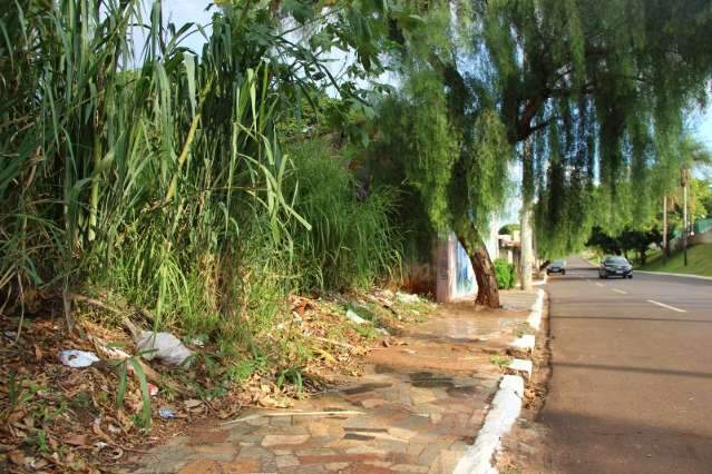 Apesar de crescente casos de dengue, popula&ccedil;&atilde;o deixa de limpar quintais