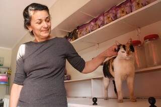 Gatinha escolhe pet shop para morar e acaba adotada por toda a vizinhança 