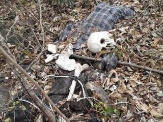 Uma das ossadas foi encontrada em Corumbá, em mata no alto de morro. (Foto: Direto das Ruas)