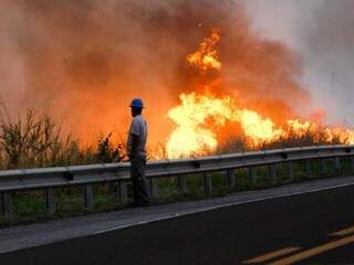 Labaredas de fogo ao longo das margens da BR-262 (Foto: Chico Ribeiro) 