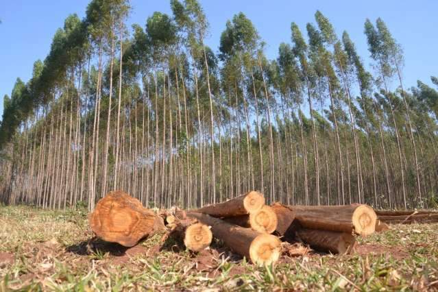 FCO aprova R$ 150 milh&otilde;es em projetos para 20 munic&iacute;pios