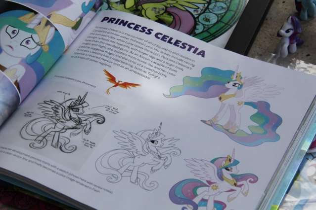Homens criam grupo para cultuar My Little Pony, desenho de personagens fofinhos