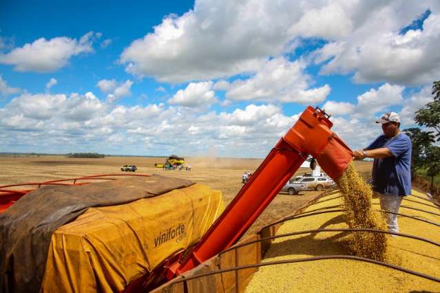 Com soja precoce, produtor garante ter &quot;safra de ouro&quot; e aumentar rentabilidade