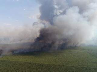 Fumaça em área atingida por incêndio em Ribas do Rio Pardo (Foto: Andrei Luiz)