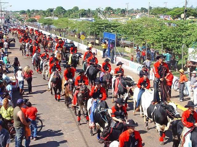 Exposi&ccedil;&atilde;o agropecu&aacute;ria vai leiloar 5 mil cabe&ccedil;as de gado
