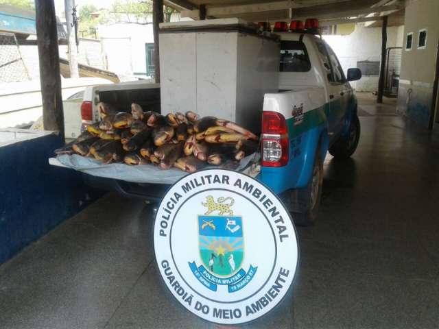 Turistas s&atilde;o multados em R$ 8 mil ao serem presos com 100 kg de peixe