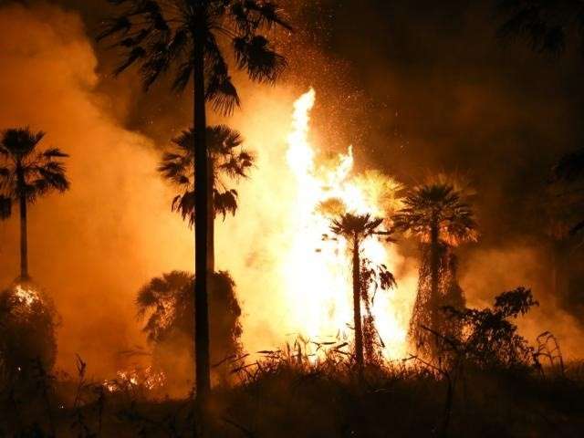 Ibama abre investiga&ccedil;&atilde;o para apurar se inc&ecirc;ndios em MS foram criminosos 