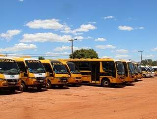 Com frota de 27 ônibus, município de Naviraí mantém 18 linhas para transportar estudantes da zona rural (Foto: Divulgação)