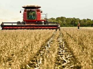 Levantamento de soja e milho percorre 13 estados. (Foto: Divulgação)