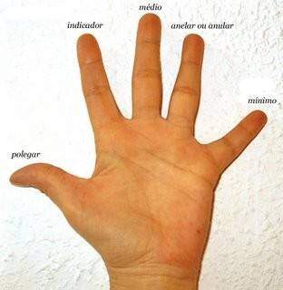 A relação entre os dedos das mãos e a prática de esportes