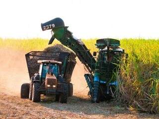 Colheita da cana-de-açúcar em lavoura no interior de Mato Grosso do Sul (Foto: Divulgação)