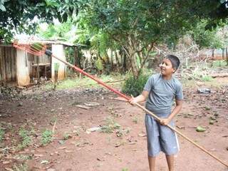 Everton, de 12 anos, colhendo abates no quintal. (Foto: Marcos Ermínio)