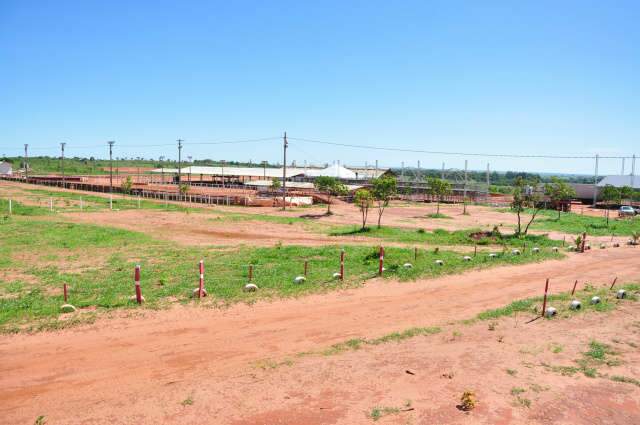  Novo espa&ccedil;o de eventos, Parque do Pe&atilde;o recebe licen&ccedil;a ambiental