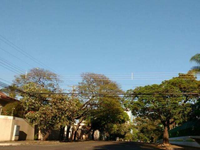 Domingo ser&aacute; de c&eacute;u claro, tempo seco e temperaturas elevadas 