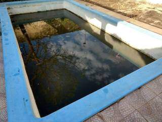 Piscina suja em casa na Vila Jacy: moradores dizem que local está sujo há cerca de seis anos (Foto: Direto das Ruas)