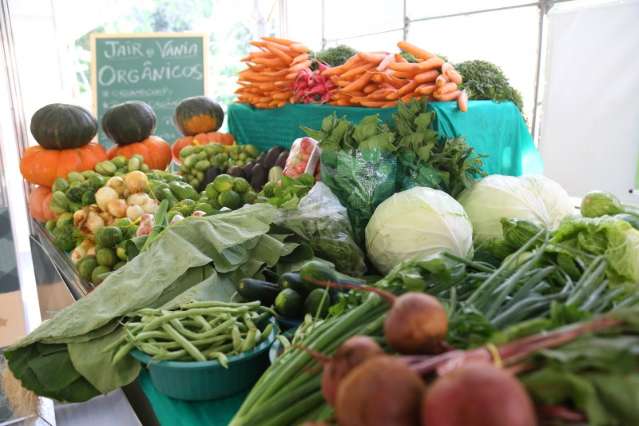 De frutas a mel, MS tem cerca de 30 produtores com certifica&ccedil;&atilde;o org&acirc;nica