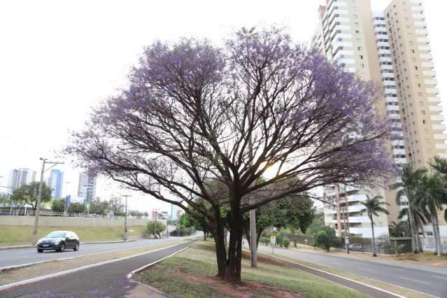 Semana inicia com c&eacute;u nublado e previs&atilde;o &eacute; de chuva em MS