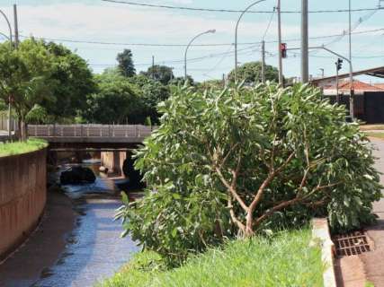 Para ajudar motorista, pessoas organizaram &quot;resgate&quot; durante a madrugada