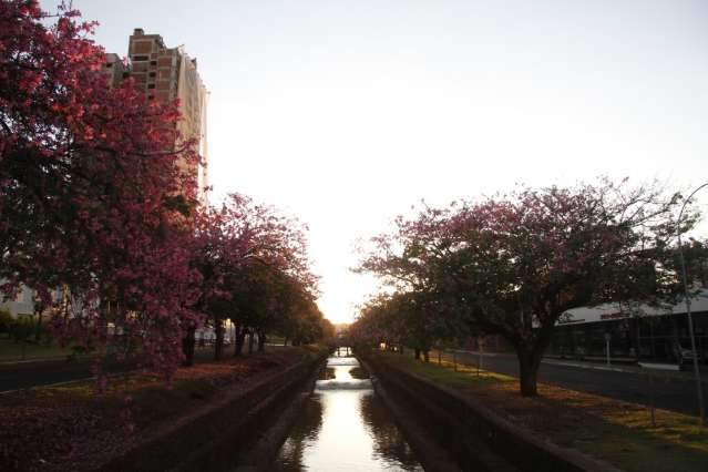 C&eacute;u amanhece sem nuvens e dia ser&aacute; ensolarado na Capital