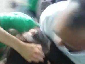 V&iacute;deo mostra briga entre adolescentes em sa&iacute;da de escola na Vila Alba 