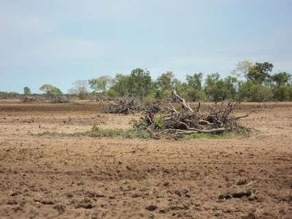 Fazendeiro é multado em R$ 773 mil por desmatamento e incêndio no Pantanal 