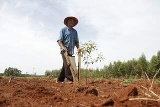 Apoio de projetos ajudam agricultores financiados por Pronaf a se manter adimplentes (Foto: Arquivo/Cleber Gellio)