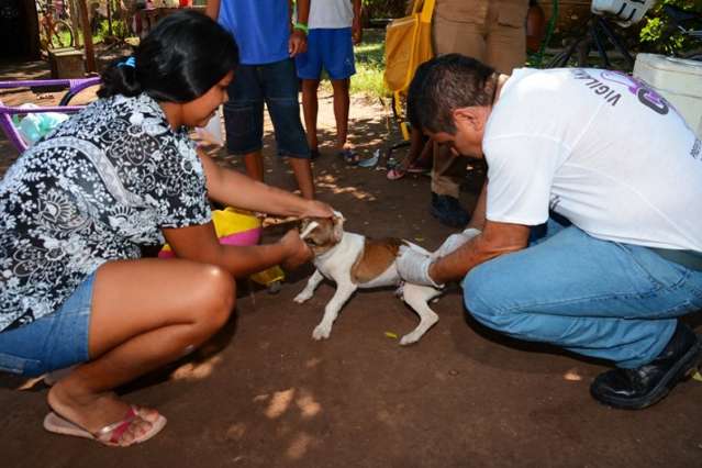 Munic&iacute;pios bolivianos iniciam vacina&ccedil;&atilde;o contra a raiva animal na ter&ccedil;a-feira