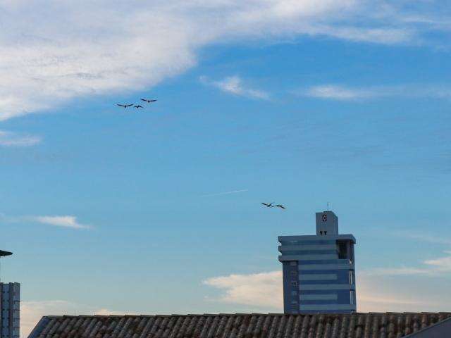 Sexta-feira ser&aacute; de predom&iacute;nio de sol e calor de 35&deg;C