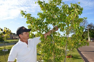 Gilson é o morador da casa amarela que plantou árvore para ter sombra. (Foto: Simão Nogueira)