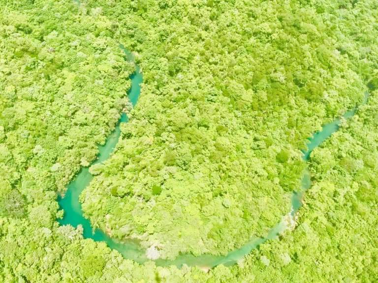 Imagem aérea do Rio Salobra. 