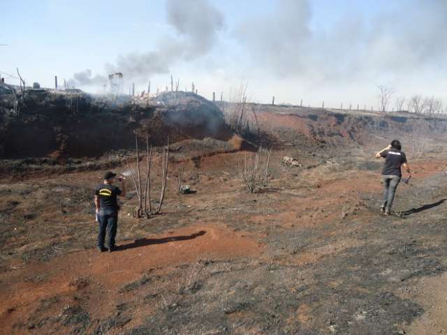 Inc&ecirc;ndio intoxicou nove pessoas e matou 40 bois em Dourados