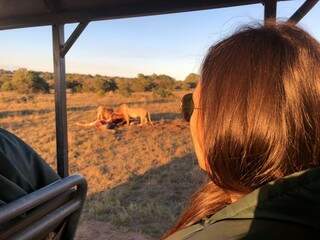 Momento em que Isabella viu um leão devorando uma girafa, no Safari.