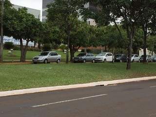 Fila de carros estacionados em linha amarela na Avenida Mato Grosso (Foto: Direto das ruas)