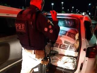 Em fuga, traficante estoura pneus e abandona 567 kg de maconha