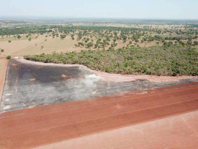 Produtor rural &eacute; multado em R$ 15 mil por queimar &aacute;rea em preparo para plantio