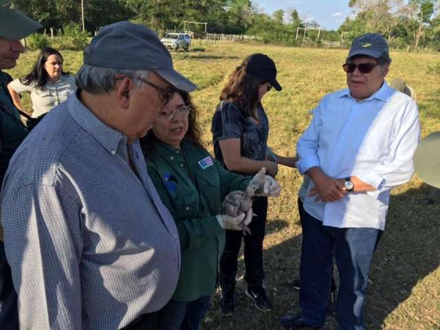 No Pantanal, ministro visita projetos voltados para conserva&ccedil;&atilde;o ambiental