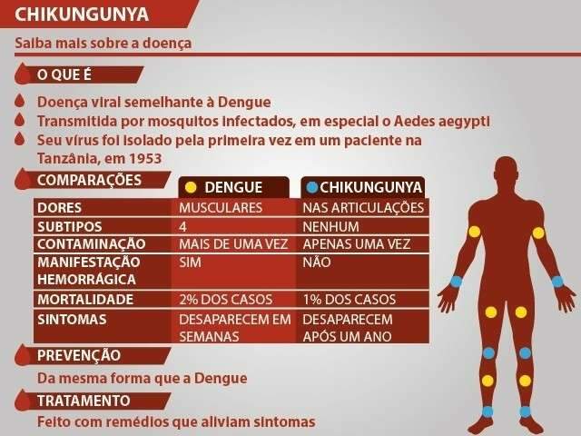 Em tr&ecirc;s meses MS registra seis novos casos de febre chikungunya