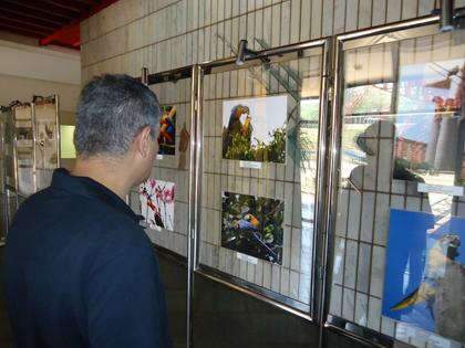  TV Brasil Pantanal exibe exposi&ccedil;&atilde;o Aves da Nossa 