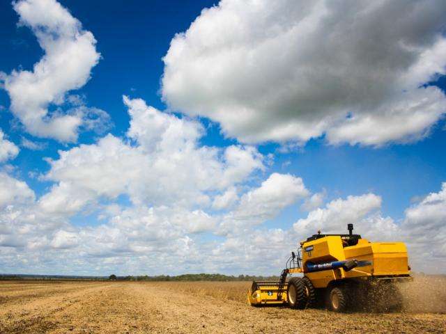 Perto do fim, colheita de soja atinge 2,3 milh&otilde;es de hectares em MS