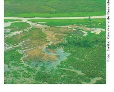 Desde 2001, 8 projetos tentaram por fim à tragédia ambiental do Taquari