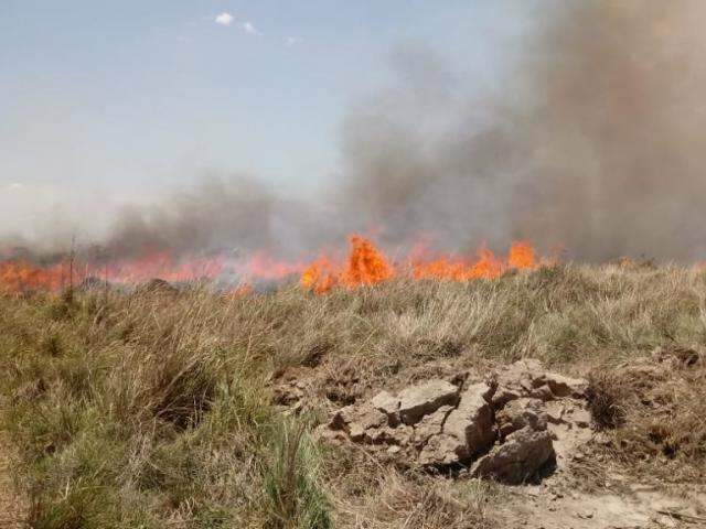 Mesmo quando chove, vigil&acirc;ncia &eacute; constante aos inc&ecirc;ndios no Pantanal 