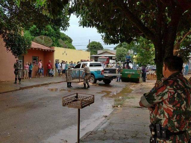 On&ccedil;a em &aacute;rvore vira atra&ccedil;&atilde;o tur&iacute;stica e sobram cr&iacute;ticas ao trabalho da PMA
