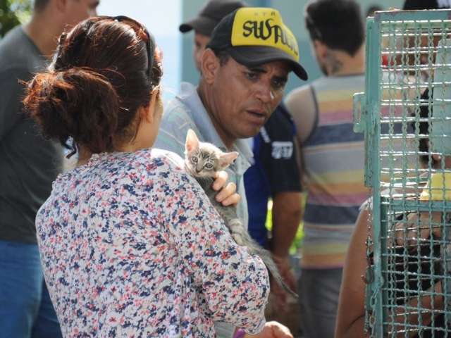 Em feira de ado&ccedil;&atilde;o, 61 c&atilde;es e 37 gastos ganham fam&iacute;lia e novo lar