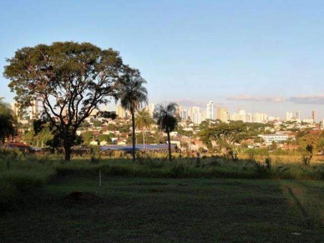 Centro respira antes da 2&ordf; fase do Reviva, que deve come&ccedil;ar em abril