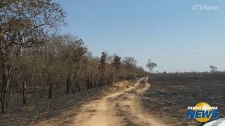 Fazendeiro é multado em R$ 1,5 milhão por incêndio que destruiu 1,5 mil hectares