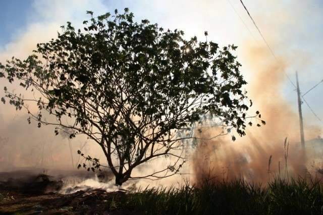 Campanha alerta para riscos de queimadas pr&oacute;ximo a instala&ccedil;&otilde;es el&eacute;tricas